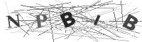 Please refresh your browser to see this image.