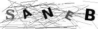 Please refresh your browser to see this image.