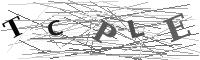 Please refresh your browser to see this image.