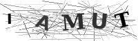 Please refresh your browser to see this image.